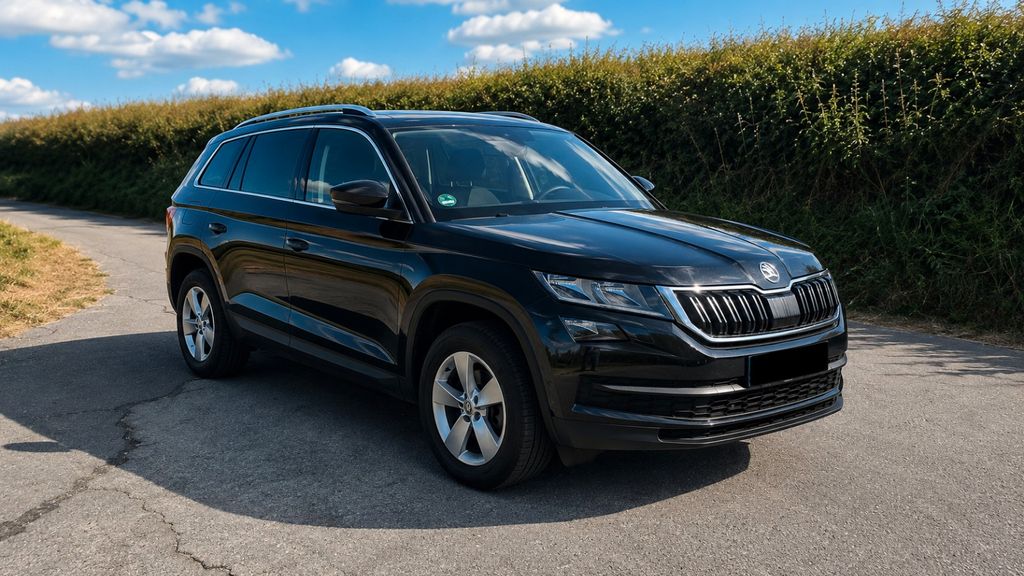 Skoda Kodiaq 170.000 km 17.250 &euro; Wuppertal 42117