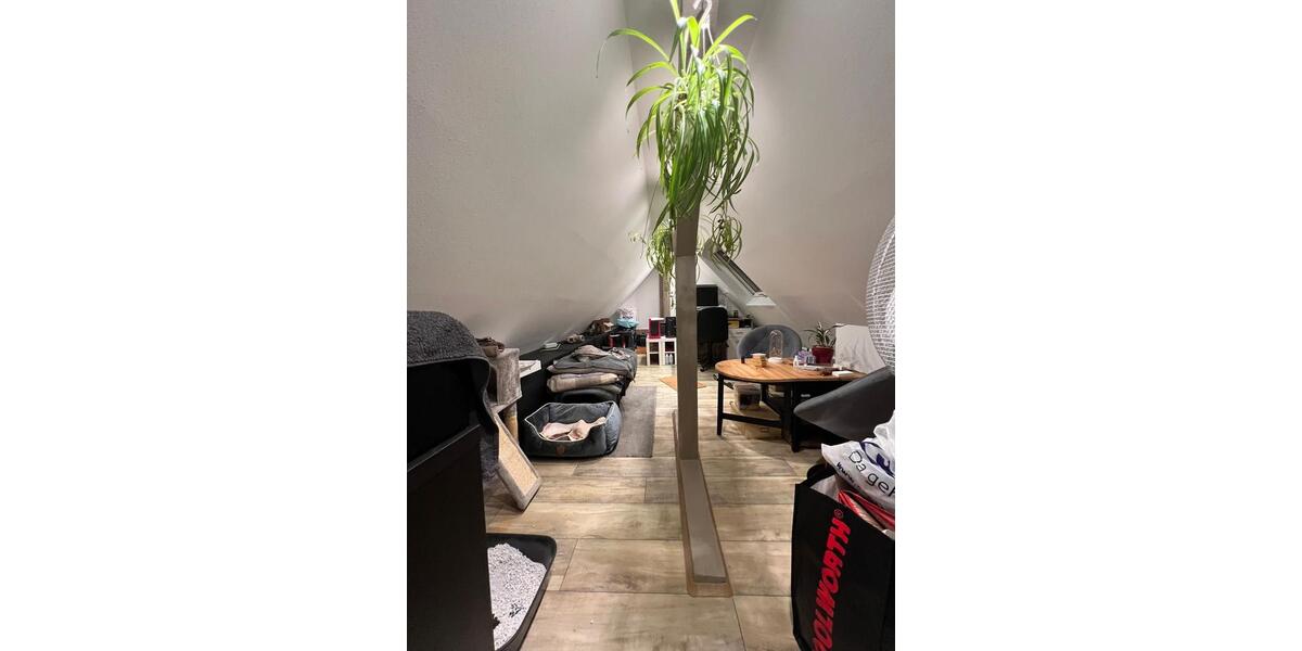 Etagenwohnung Hagen Hagen-Mitte - 3 Zimmer, 70 m&sup2;, 650&euro; | Angebot:25714483