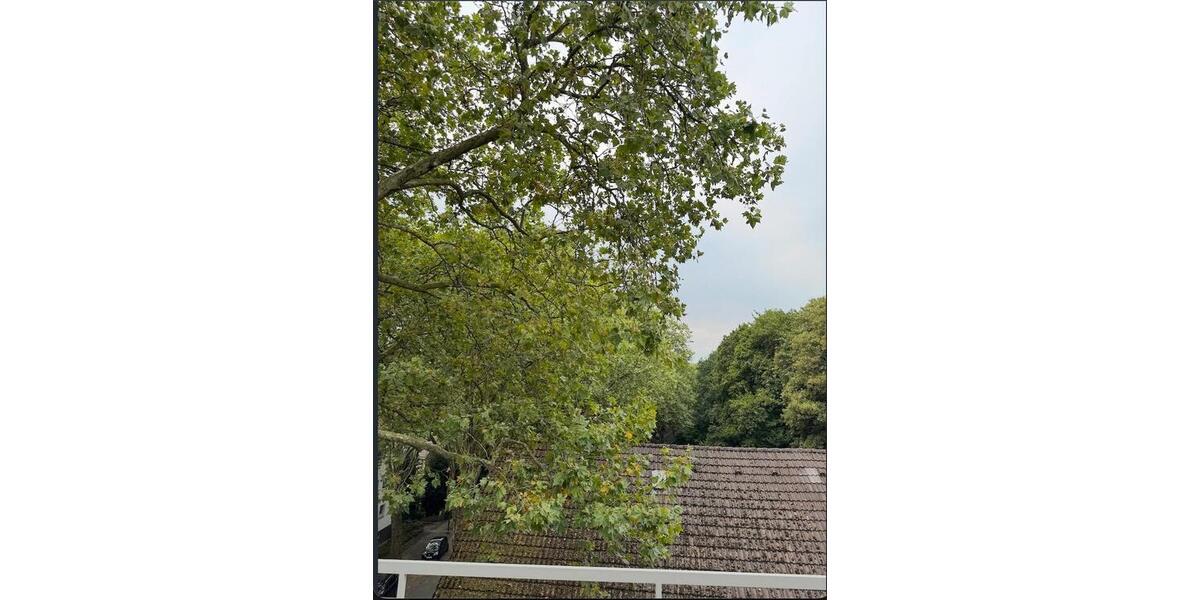 Einfamilienhaus Wuppertal Brill - 2 Zimmer, 78 m&sup2;, 1.000&euro; | Angebot:27548819