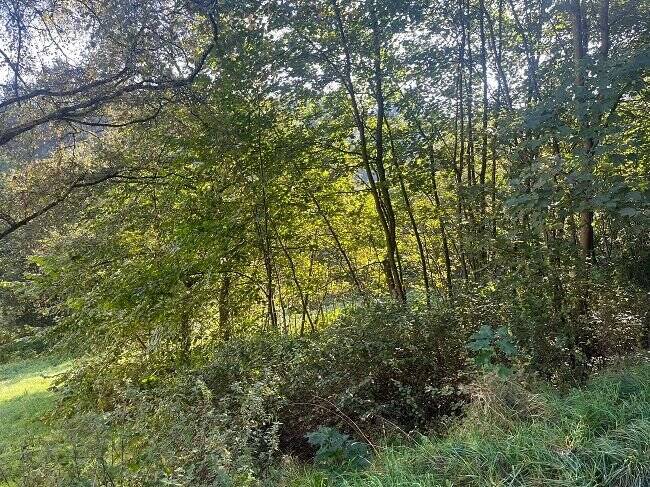 Grundstück Werdohl - 220.000&euro; | Angebot:25660783