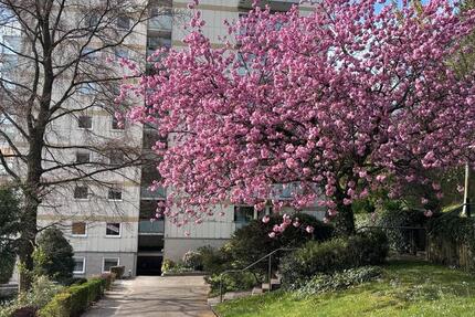 Wohnung Wuppertal Arrenberg - 3 Zimmer, 80 m&sup2;, 179.000&euro; | Angebot:26748341