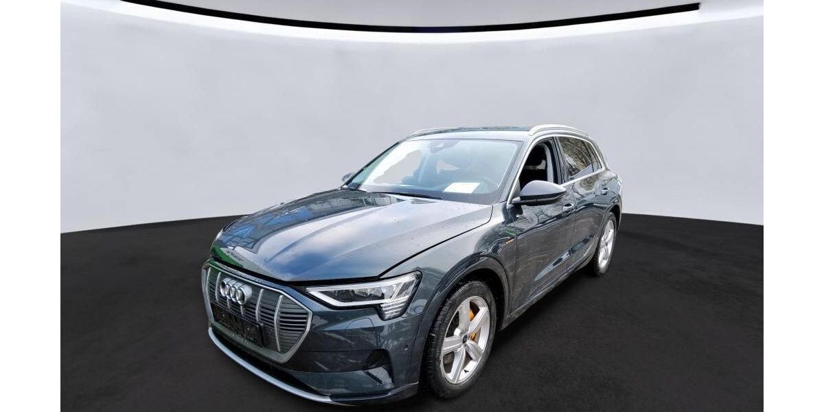 Audi e-tron 32.493 km 34.950 &euro; Hagen 58091