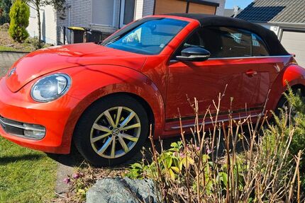 VW Beetle 53.260 km 16.800 &euro; Dortmund 44319