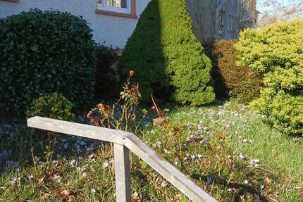 Wohnung Bochum Höntrop - 2 Zimmer, 58 m&sup2;, 495&euro; | Angebot:25322428