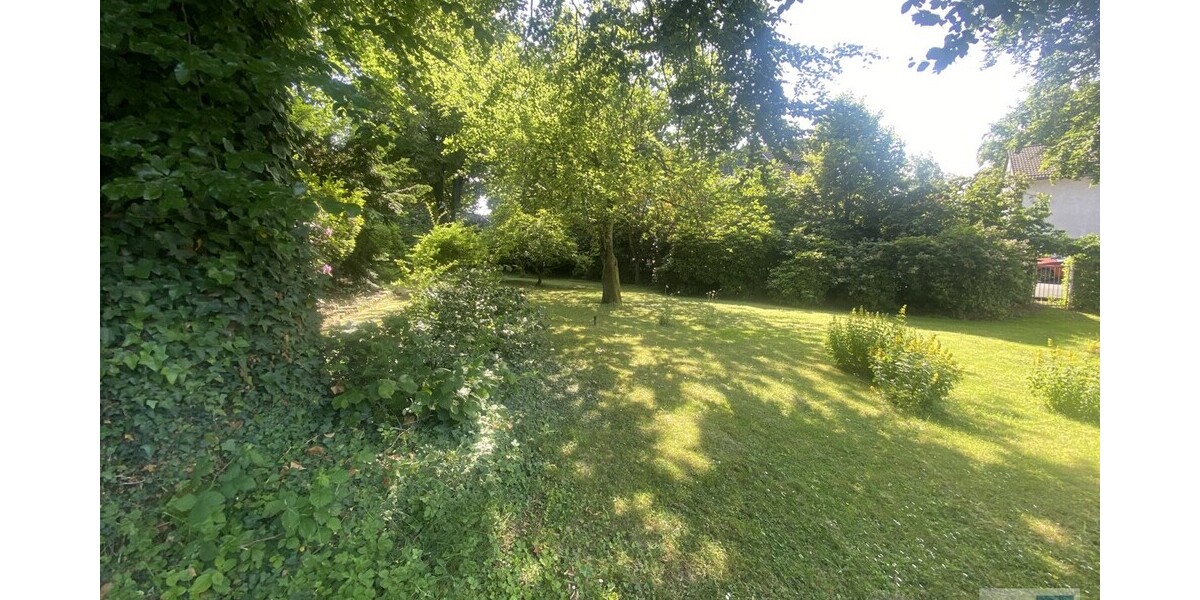 Investorenchance: Quadratisches Baugrundstück für Einfamilien- oder Mehrfamilienhäuser - Grundstück Remscheid Lüttringhausen | Angebot:25498396