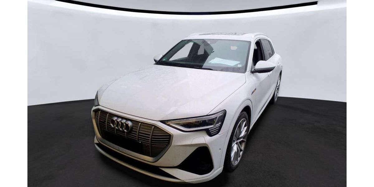 Audi e-tron 69.195 km 35.848 &euro; Hagen 58091