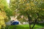 Etagenwohnung Bochum Bochum-Mitte - 2 Zimmer, 36 m&sup2;, 360&euro; | Angebot:26692957