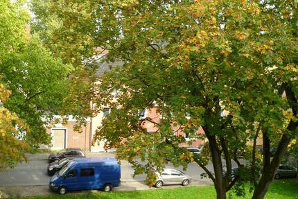 Wohnung Bochum Bochum-Mitte - 2 Zimmer, 36 m&sup2;, 360&euro; | Angebot:26692957