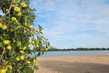 Haus Dortmund - 85.000&euro; | Angebot:26038614