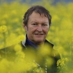 Haindling - Sommer 2026