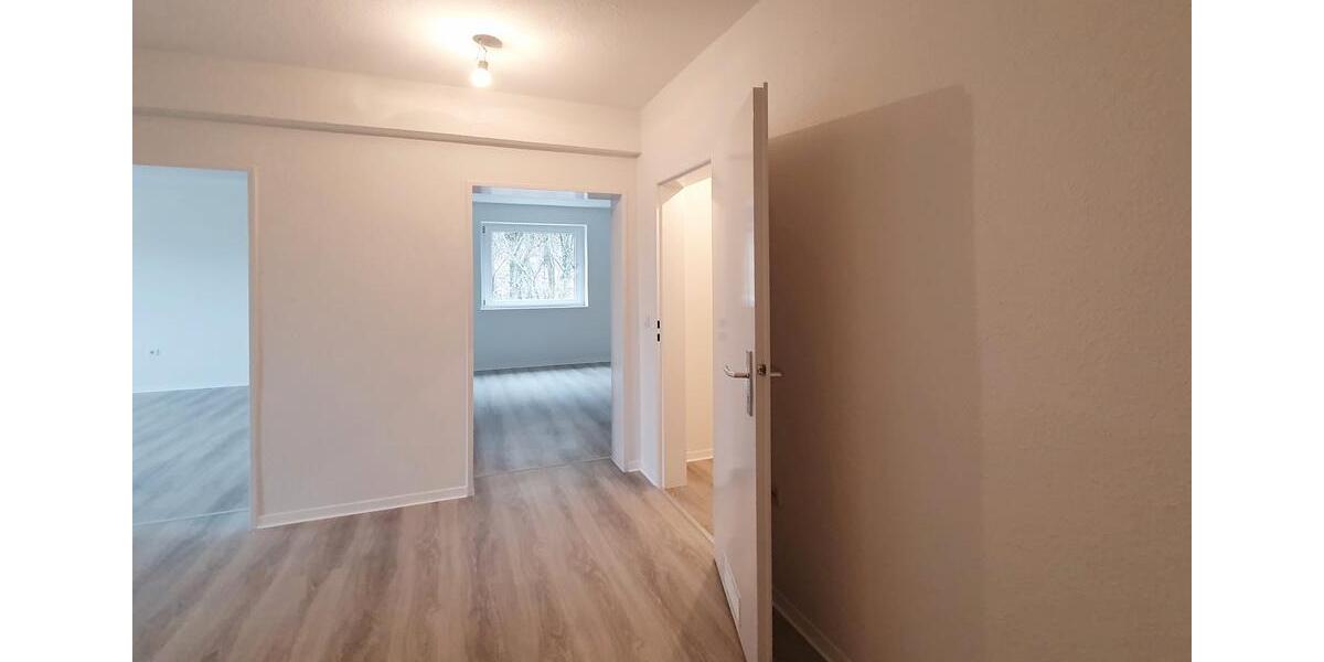 Etagenwohnung Werdohl - 3 Zimmer, 65 m&sup2;, 367&euro; | Angebot:25974842