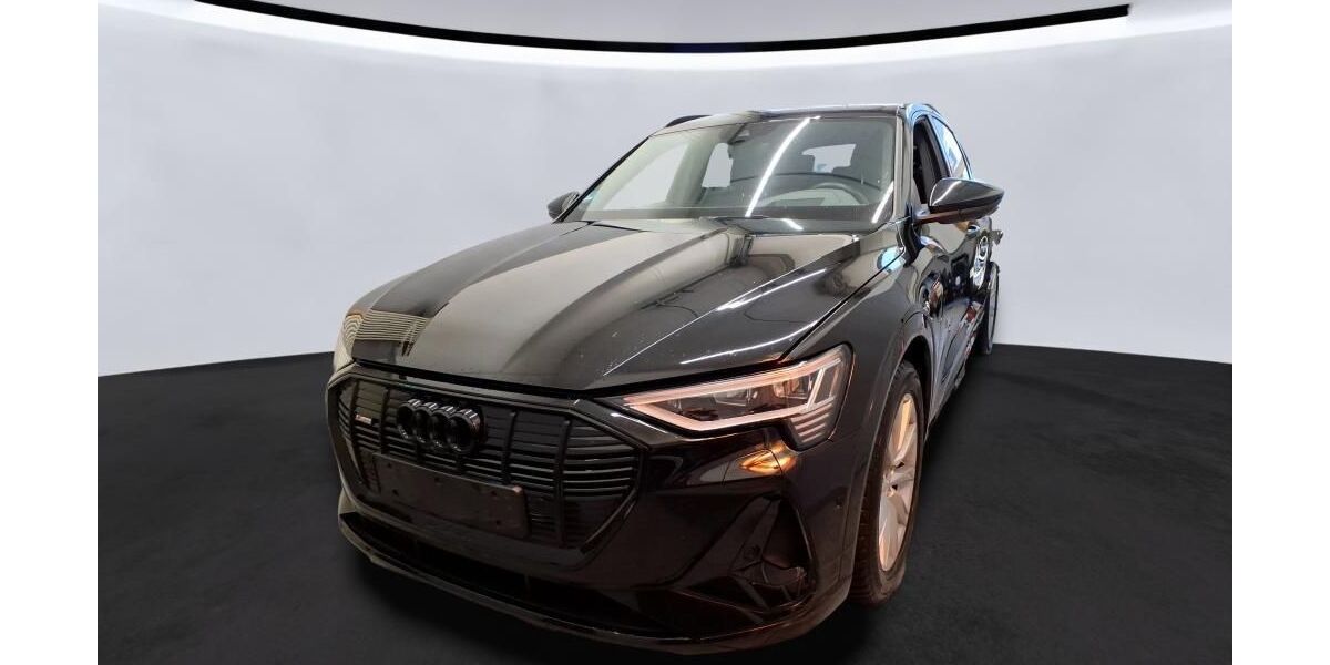Audi e-tron 36.944 km 34.887 &euro; Hagen 58091