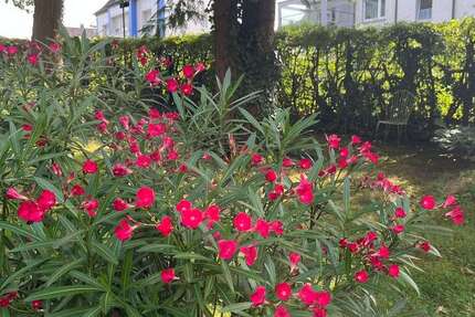 Grundstück Hagen Dahl - 133.000&euro; | Angebot:22440704